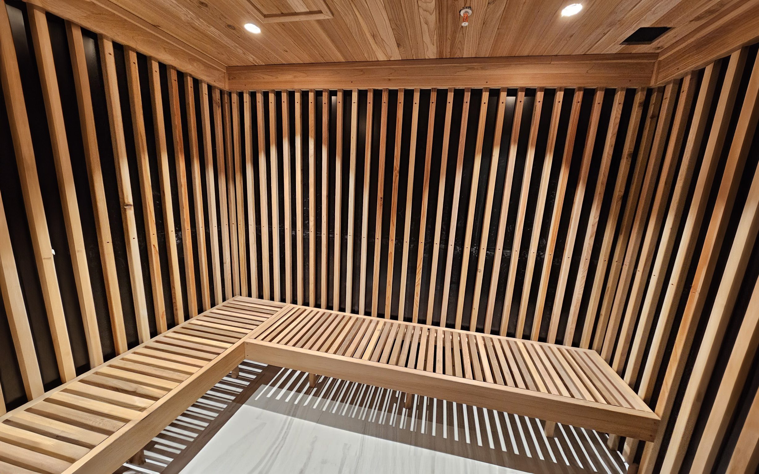 3D rendering of a custom commercial infrared sauna project