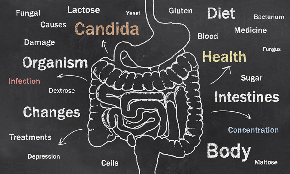 infrared-sauna-candida