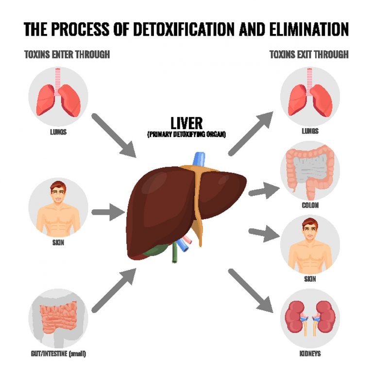 infrared-sauna-detoxification