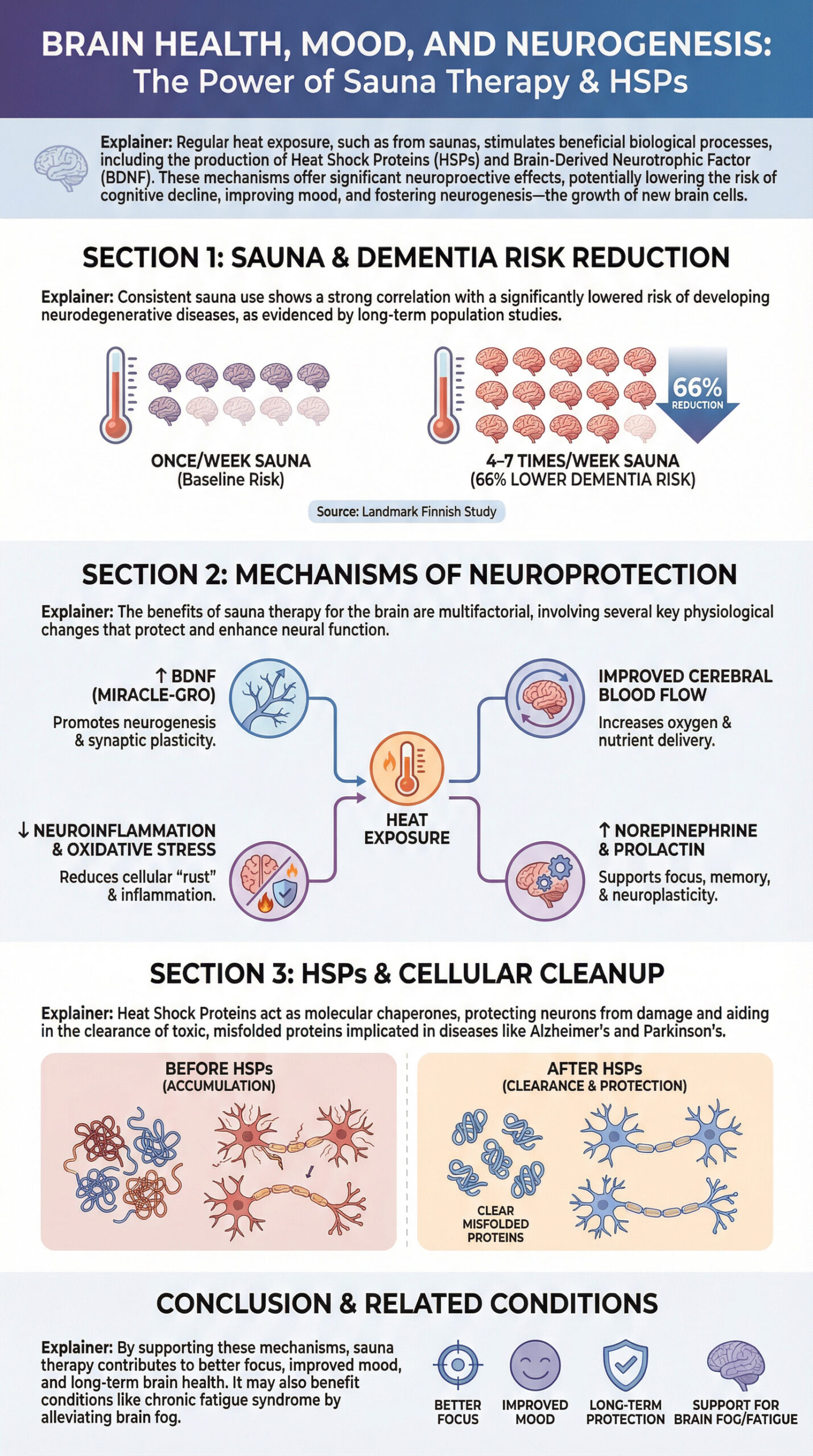 Infographic diagram showing The Synergy: Infrared Saunas & Heat Shock Proteins. The graphic illustrates how far-infrared light penetrates tissue to raise core temperature to over 101°F, which triggers Heat Shock Proteins (HSPs) for a protective cellular response. Key factors for the ideal stimulus, such as deep penetration and long sessions, are detailed, along with a dose-dependent graph showing cumulative benefits over time.