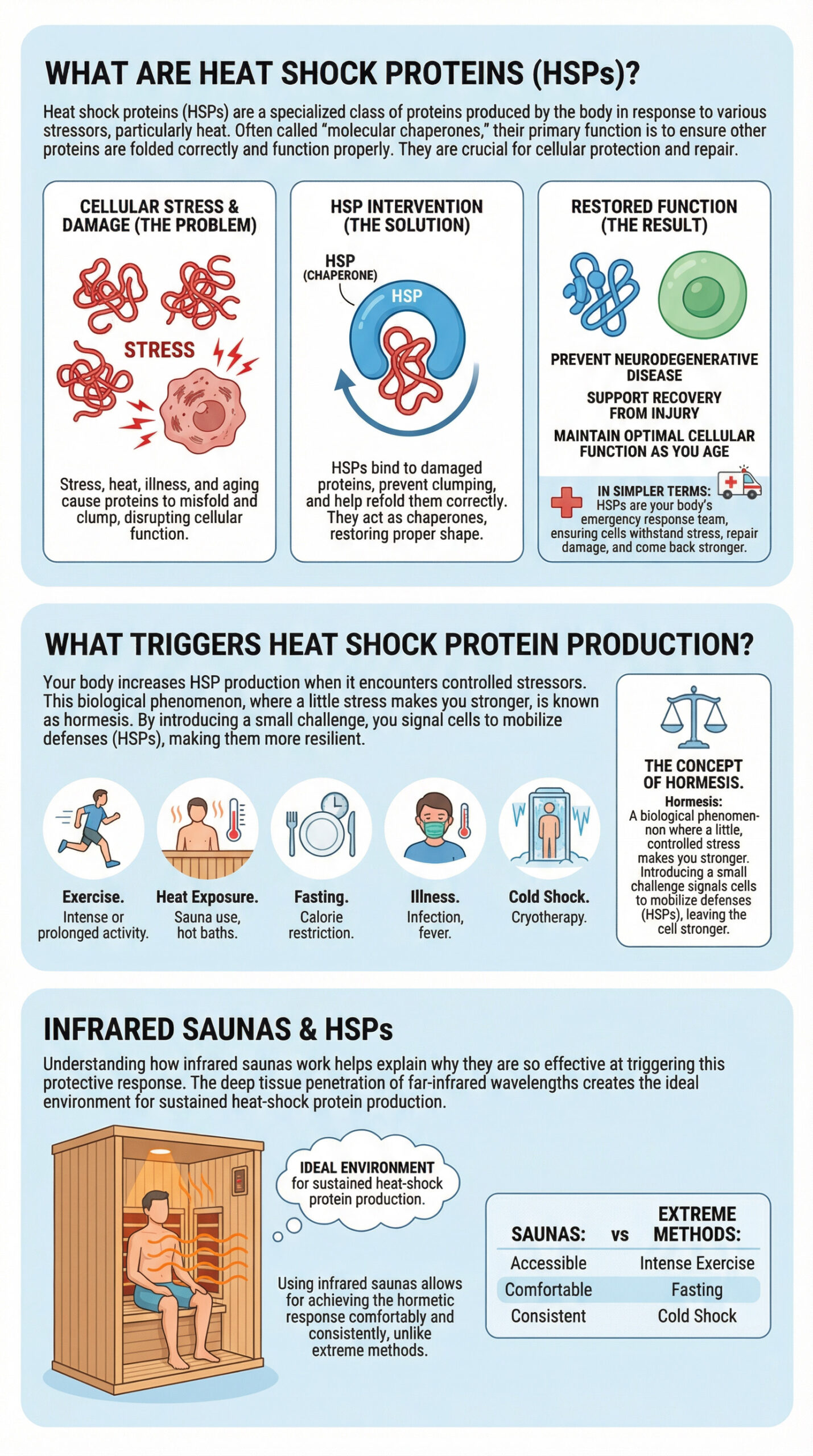 Infographic diagram illustrating the full **infrared sauna and heat shock proteins** (HSP) process, showing that infrared light causes mild hyperthermia and cellular stress, which activates the HSP chaperoning process to refold damaged proteins into their correct structure, resulting in restored cellular function.